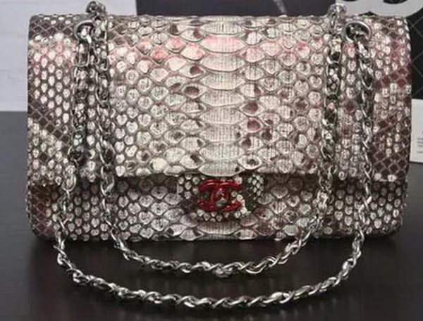 Chanel 2.55 Series Flap Bags Grey Original Python Leather A1112SA Silver