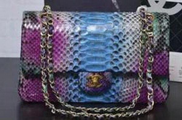 Chanel 2.55 Series Flap Bags Purple&Blue Original Python Leather A1112SA Gold