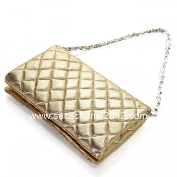 Chanel Borsa In Pelle Di Agnello Con Patta 2012 Silver Gold Lion