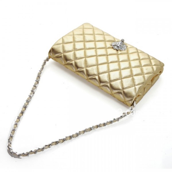 Chanel Borsa In Pelle Di Agnello Con Patta 2012 Silver Gold Lion