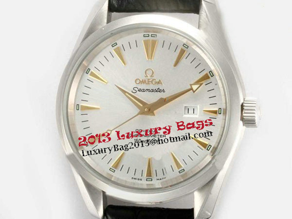 Omega Seamaster Replica Watch OM8030W