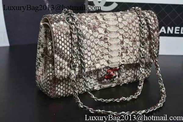 Chanel 2.55 Series Flap Bags Grey Original Python Leather A1112SA Silver