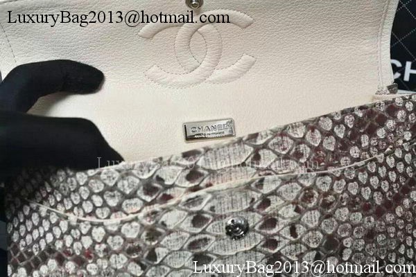 Chanel 2.55 Series Flap Bags Grey Original Python Leather A1112SA Silver