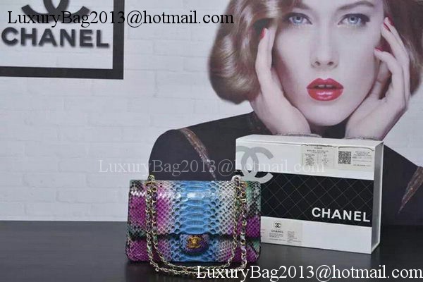 Chanel 2.55 Series Flap Bags Purple&Blue Original Python Leather A1112SA Gold