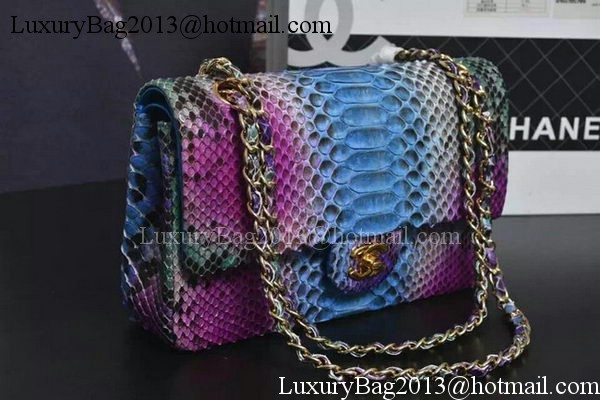 Chanel 2.55 Series Flap Bags Purple&Blue Original Python Leather A1112SA Gold