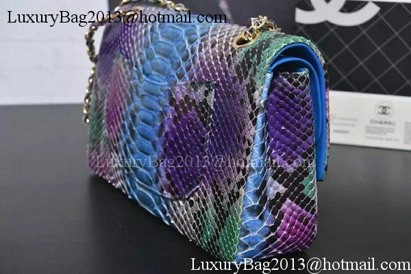 Chanel 2.55 Series Flap Bags Purple&Blue Original Python Leather A1112SA Gold