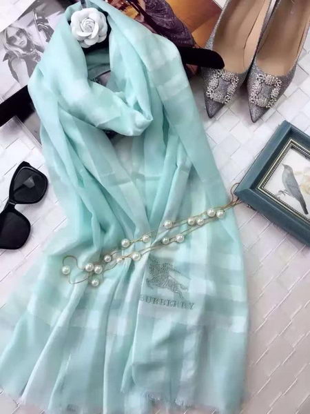 BurBerry Scarf BU17071708