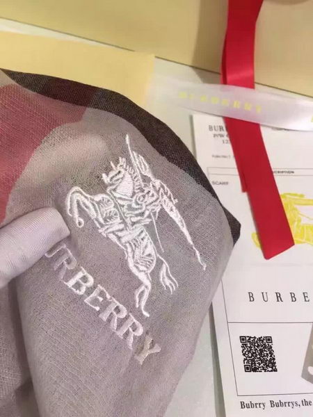 BurBerry Scarf BU17071710