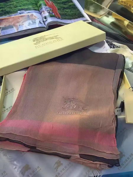 BurBerry Scarf BU17071714