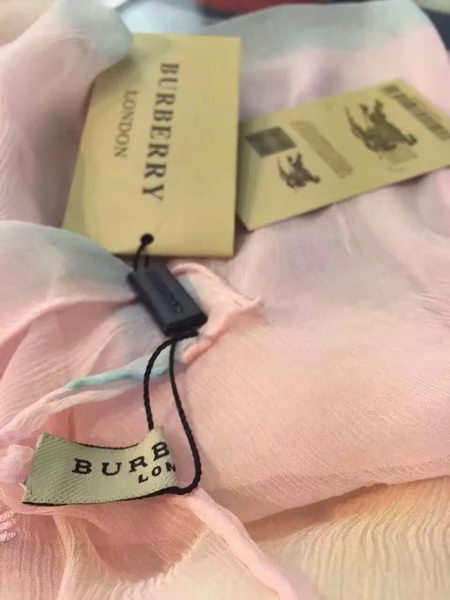 BurBerry Scarf BU17071715