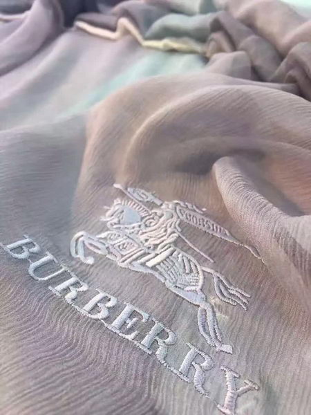 BurBerry Scarf BU17071716