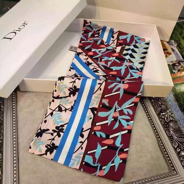 Dior Scarf CD2256