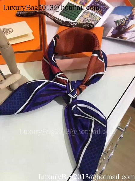 Hermes Scarf CCS0859