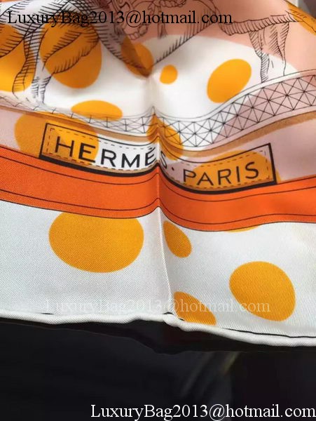 Hermes Scarf HO8316