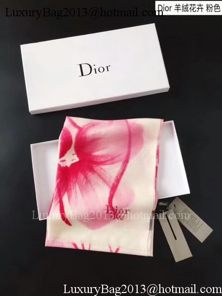 Dior Cashmere Scarf CD919468A