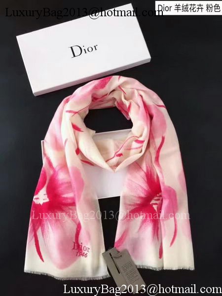 Dior Cashmere Scarf CD919468A