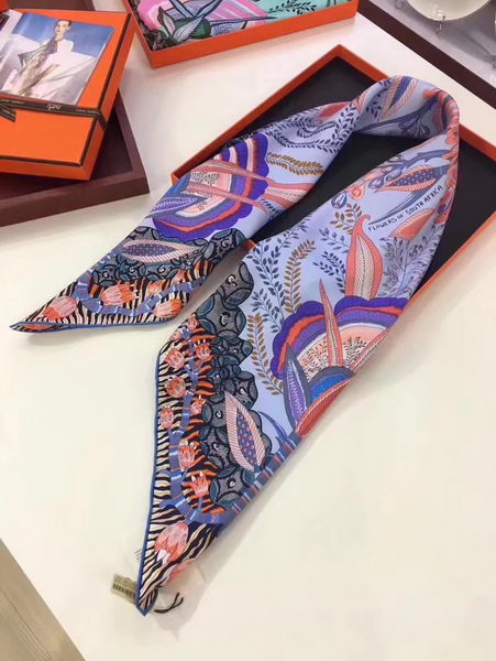 Hermes Scarf H919168D