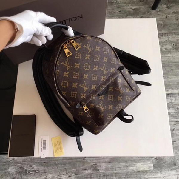 Louis Vuitton Monogram Canvas PALM SPRINGS BACKPACK PM M41560