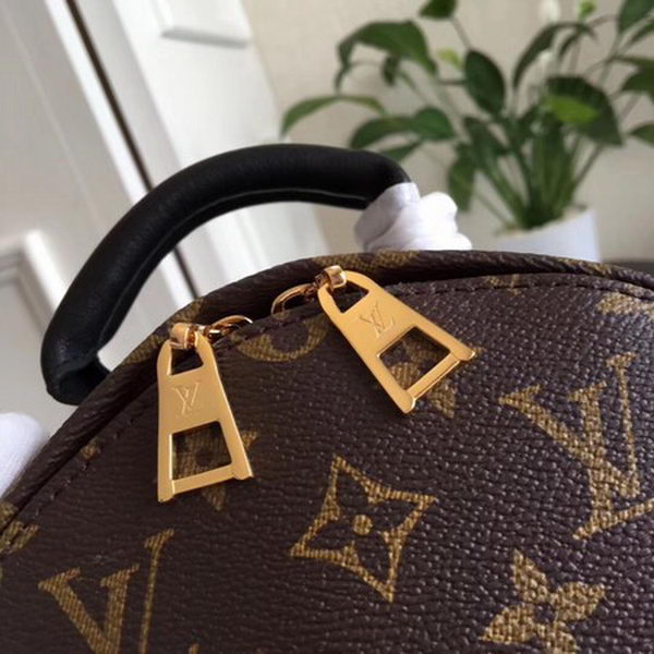 Louis Vuitton Monogram Canvas PALM SPRINGS BACKPACK PM M41560