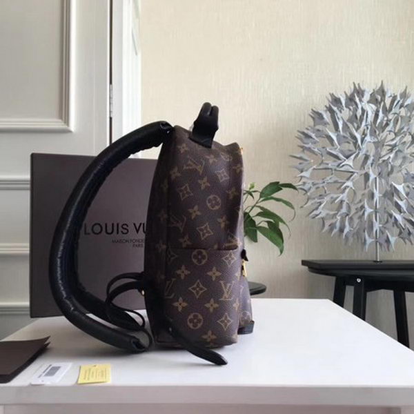 Louis Vuitton Monogram Canvas PALM SPRINGS BACKPACK PM M41560