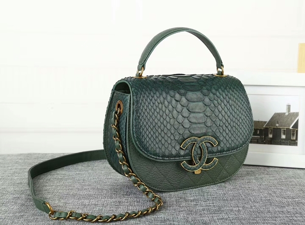 Chanel 2017 Original Python Leather Shoulder Bag 8125 Green