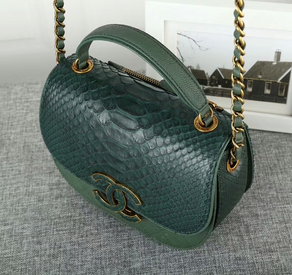 Chanel 2017 Original Python Leather Shoulder Bag 8125 Green