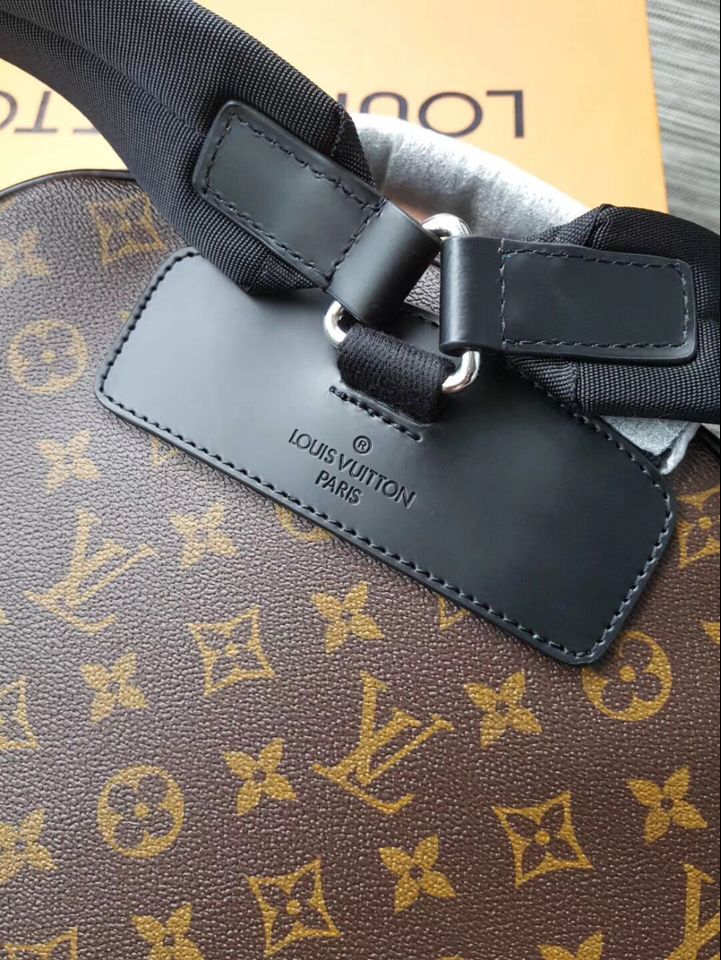 Louis Vuitton Monogram Canvas Backpack 41530