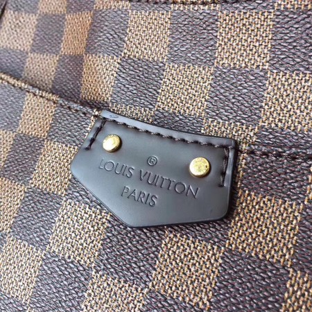 Louis Vuitton Damier Ebene Canvas N44230