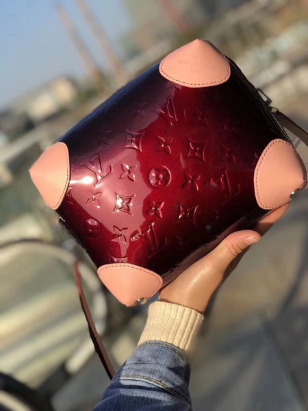 Louis Vuitton 2018 Spring-Summer VENICE M54390 Wine