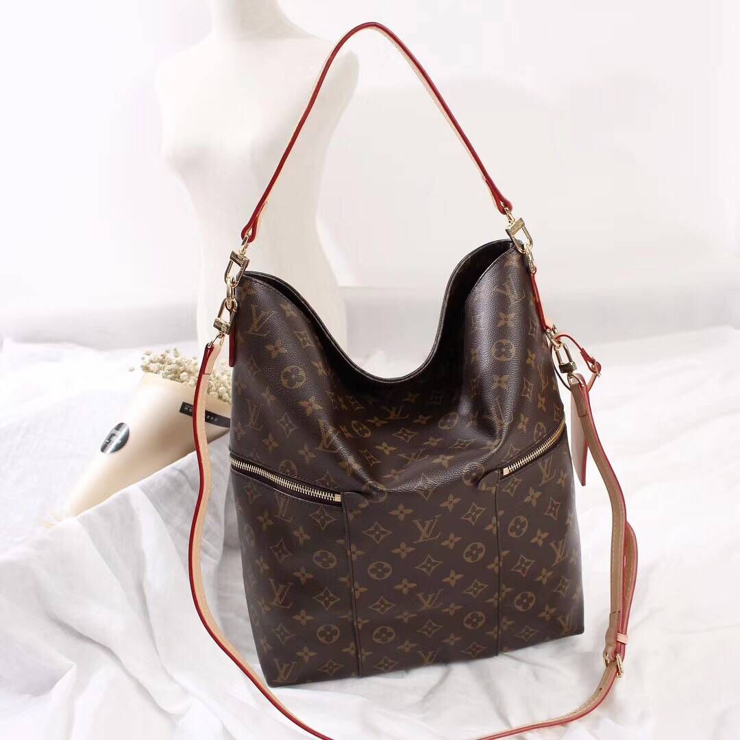 Louis Vuitton Monogram Canvas 41544