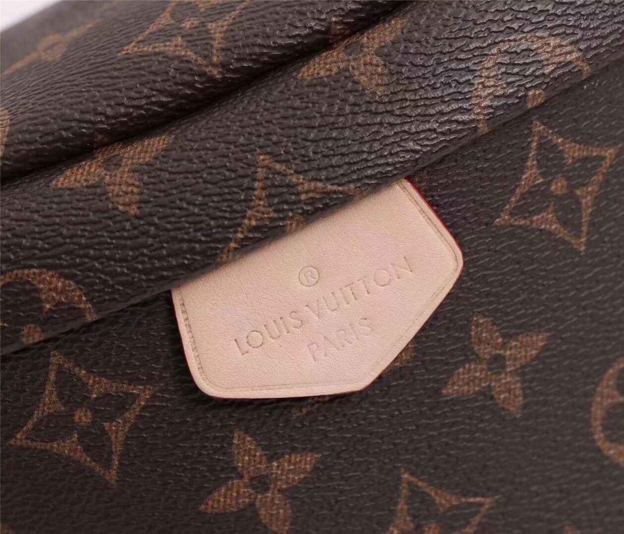 Louis Vuitton Monogram Canvas BUMBAG 43644