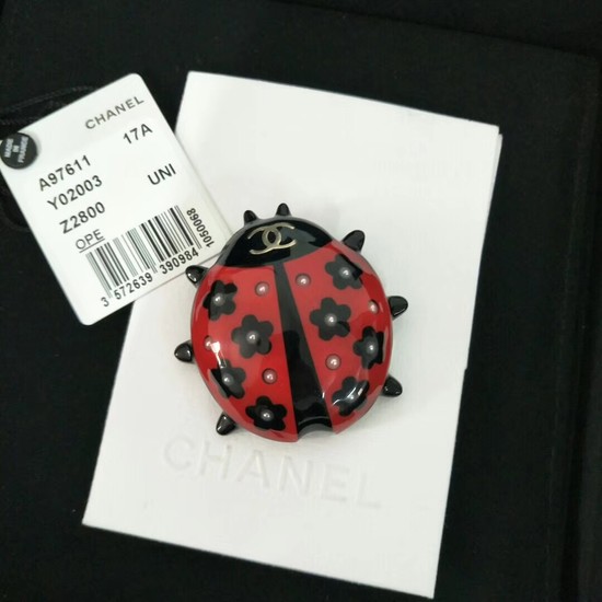 Chanel Brooch CH6635