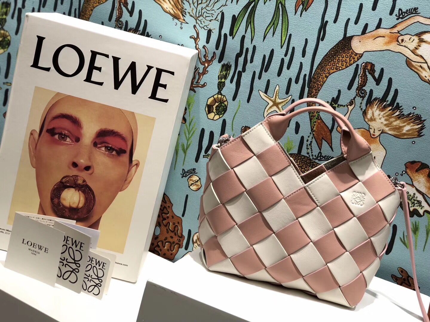 Loewe Woven Basket Gingham Bag Original Leather 25348