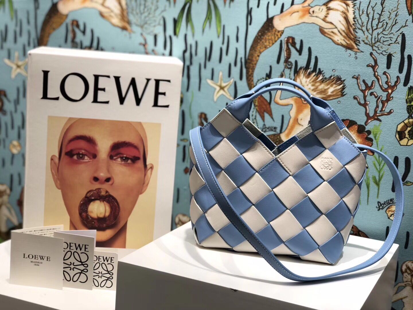 Loewe Woven Basket Gingham Bag Original Leather 25348