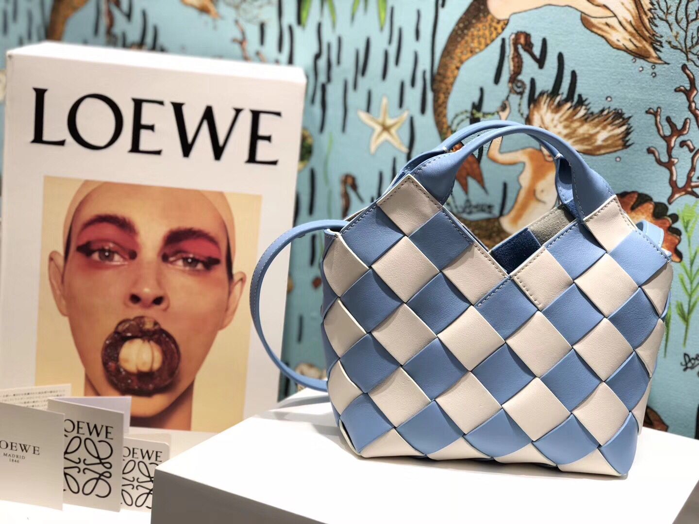 Loewe Woven Basket Gingham Bag Original Leather 25348