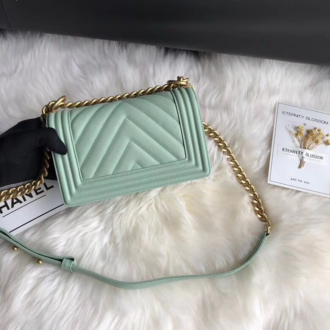 Chanel Leboy Original Caviar leather Shoulder Bag A67085 Light green gold chain