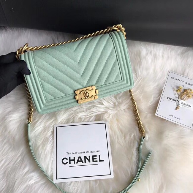 Chanel Leboy Original Caviar leather Shoulder Bag A67086 Light green gold chain