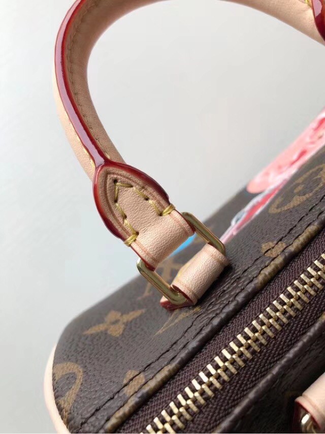 Louis vuitton original monogram canvas nano speedy M61252