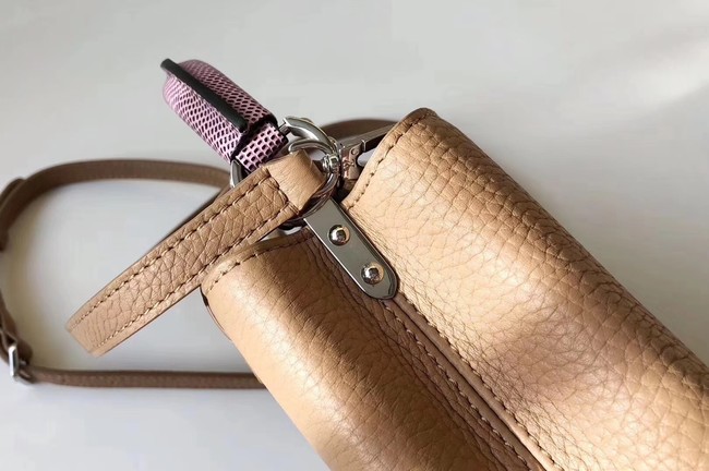 Louis Vuitton CAPUCINES MINI N94047