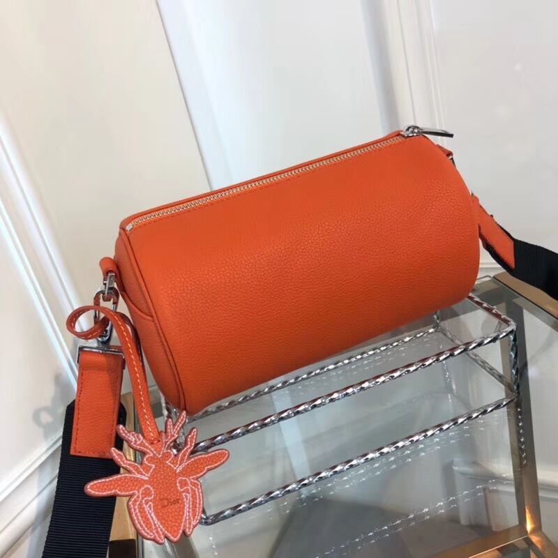 Dior Original GRAINED CALFSKIN ROLLER POUCH WITH ATELIER PRINT 1ATPO061 orange