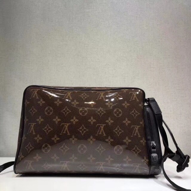 Louis vuitton original CAMERA BAG M43884 brown