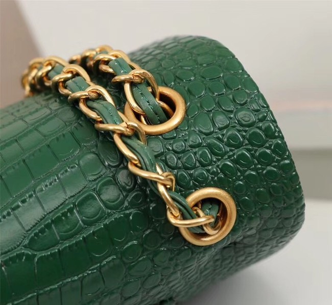 Chanel Classic Handbag Alligator & Gold-Tone Metal A01112 green