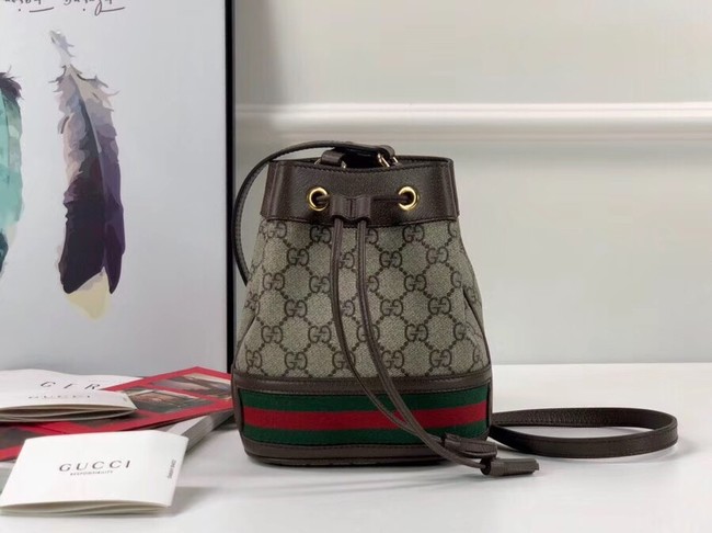 Gucci Ophidia GG mini bucket bag 550620 Brown