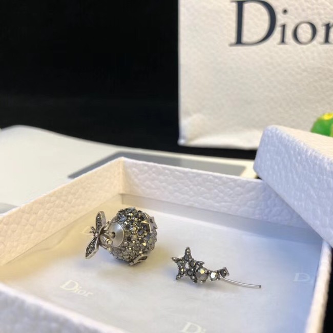 Dior Earrings 4227