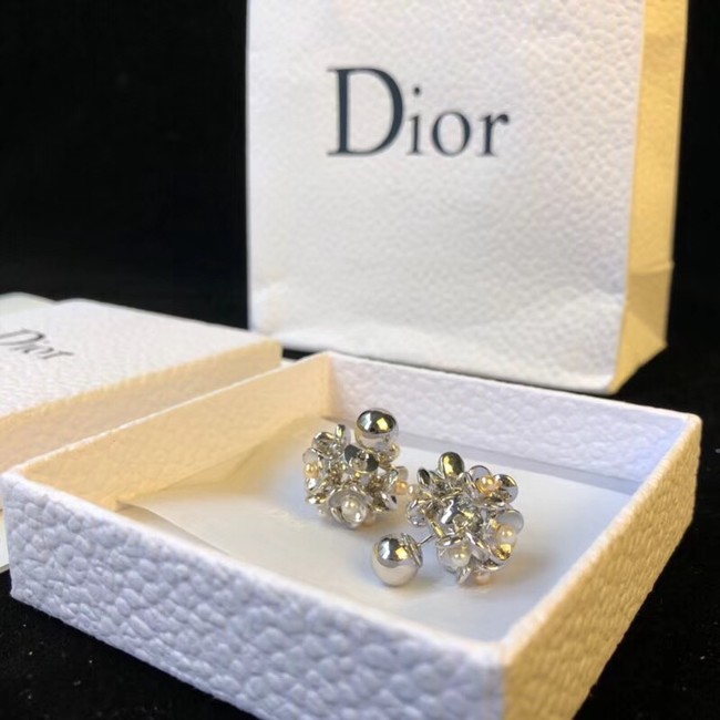 Dior Earrings 4229