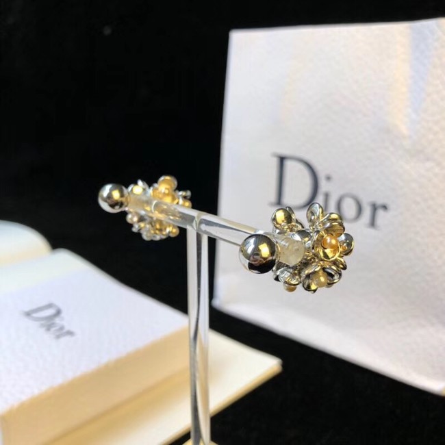 Dior Earrings 4229