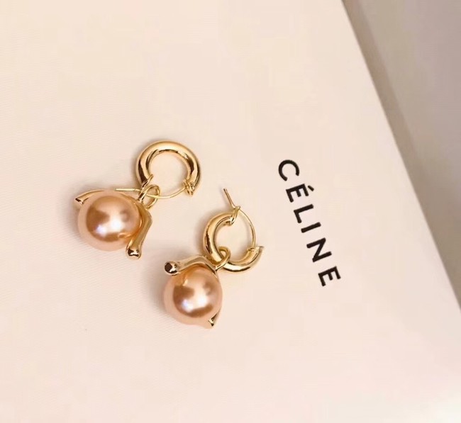 CELINE Earrings 18263