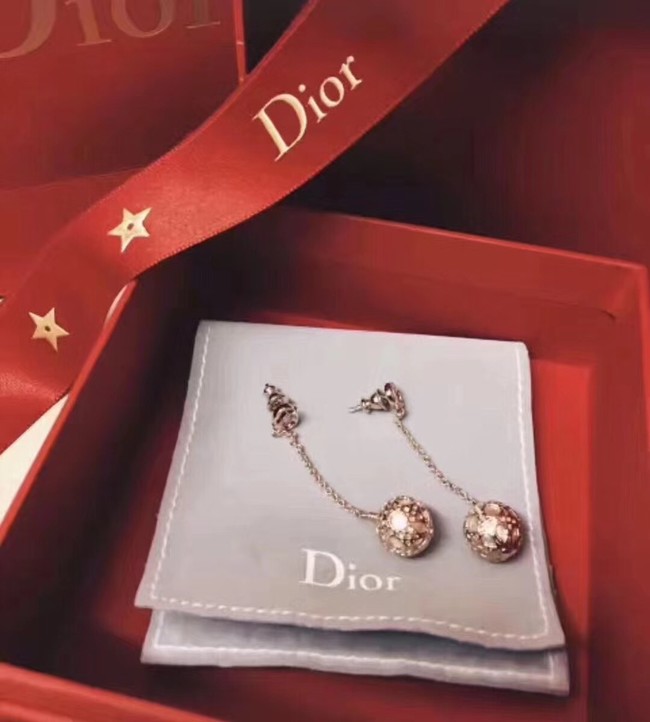 Dior Earrings 18258