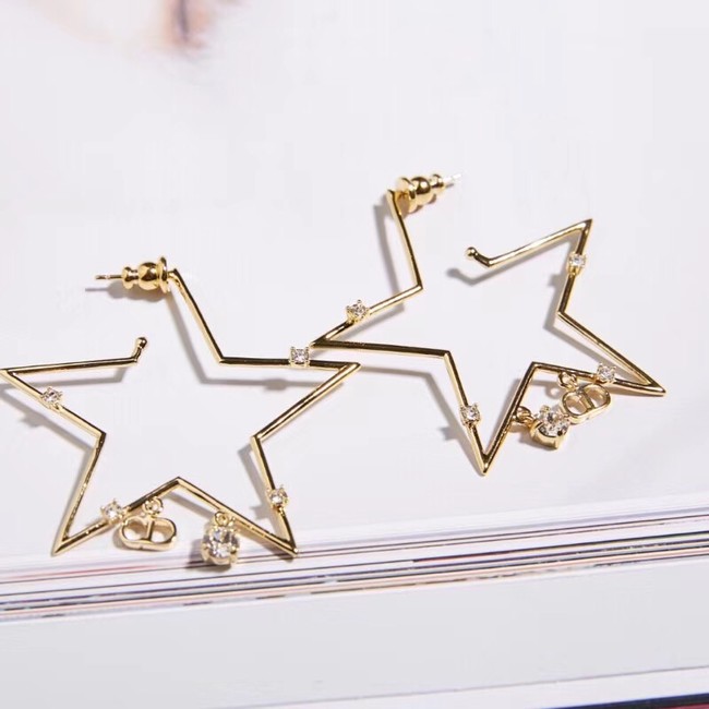 Dior Earrings 69895