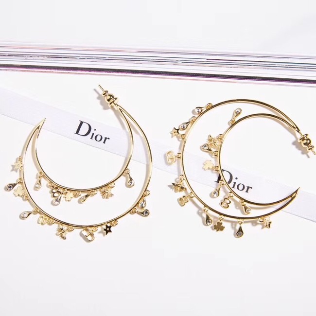 Dior Earrings 18270